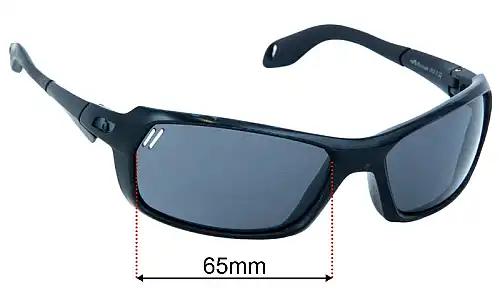 Julbo Bivouak Replacement Lenses 65mm wide 