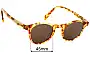 Sunglass Fix Replacement Lenses for Beatnik Cloudy Whiskey - 45mm Wide 