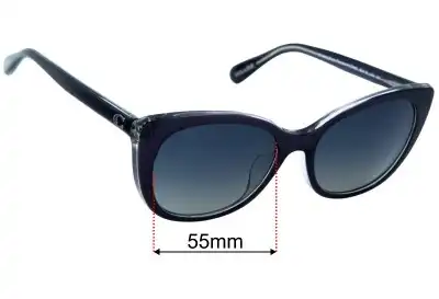 Coach HC8365U Verres de Remplacement 55mm wide 