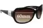 Sunglass Fix Replacement Lenses for Ralph Lauren RA 5304U - 57mm Wide 