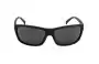 Arnette Shoredich AN4255 Replacement Lenses Front View 