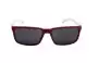 Arnette Stripe AN4251 Replacement Lenses Front View 