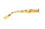 Von Zipper Roscoe Replacement Lenses Model Number Location 