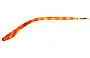Barton Perreira Fitzgerald Replacement Lenses Model Name Location 