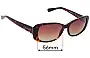 Sunglass Fix Replacement Lenses for Coach HC8168 - 56mm Wide 