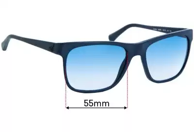 Emporio Armani EA4002 Replacement Lenses 55mm wide 