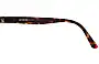 Etnia Barcelona Leblon Replacement Lenses Model Name Location 