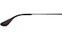 Ray Ban RB4171-F Erika Replacement Lenses Model Name Location 
