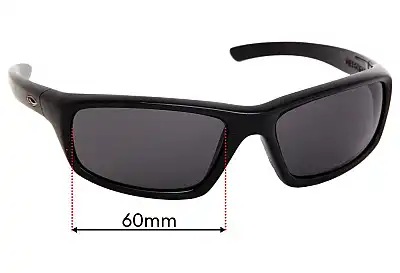 Smith Director Replacement Lenses 60mm wide 