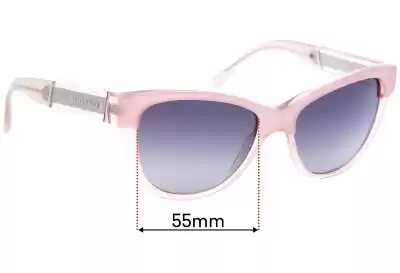 Burberry B 4206 Replacement Lenses 55mm wide 