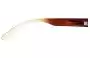 Arnette Degree AN4071 Replacement Sunglass Lenses Model Number 