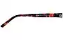 Arnette X Zayn Poll-ock AN4303 Replacement Sunglass Lenses Model Name LocationAC 