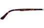 Persol 3141-V Replacement Lenses Model Number Location 