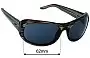 Sunglass Fix Verres de Remplacement pour Smith Lovejoy - 62mm Wide 