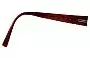 Salvatore Ferragamo 2619 Sunglasses Replacement Lenses Model Number 