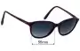 Sunglass Fix Ersatzgläser für Prego 35972 - 55mm Wide 