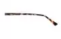 Le Specs Paradox Replacement Lenses Sunglass - Front View 