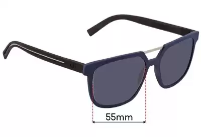 Christian Dior DIOR 0200S Replacement Lenses 55mm wide 