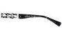 Sunglass Lenses Coach HC 8156Q - Model Number 