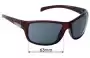 Sunglass Fix Replacement Lenses for Polaroid P8360 - 63mm Wide 