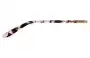 Ralph Lauren RA 5203 Replacement Lenses Model number 