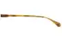 Sunglass Fix Replacement Lenses for Raen Wiley - Model Name 