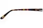 Bill Bass Imogen 25684 Replacement Lenses Model Name Location 