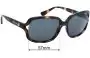 Sunglass Fix Verres de Remplacement pour Coach HC8169 - 57mm Wide 