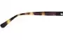 Coach HC8169 Replacement Lenses Model Number Location 