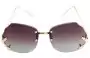 Polaris Unknown Model Replacement Sunglass Lenses - Front View 