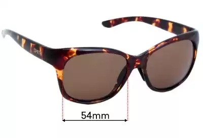 Smith Feature Replacement Lenses 54mm wide 