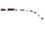 Sunglass Fix Replacement Lenses for Fiorelli Etta - Model Name  