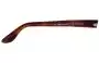 Polo Classic Unknown Replacement Sunglass Lenses - Model Number 