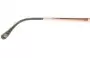 Ted Baker Fawn Replacement Sunglass Lenses - Model Number 