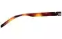 Arnette AN4267 Goeman Replacement Lenses 60mm Model Number 