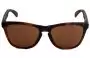 Oakley Frogskins OO9245 Asia Fit Replacement Sunglass Lenses 54mm - Front View 