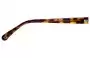 The Glass Of Brixton BS0092 Sunglass Replacement Lenses - Front View 