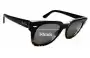 Sunglass Fix Replacement Lenses for Ray-Ban RB4168 Meteor Special Series - 50mm Wide 