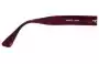 Francois Pinton Tenor 2 D619 Replacement Lenses Model Name 