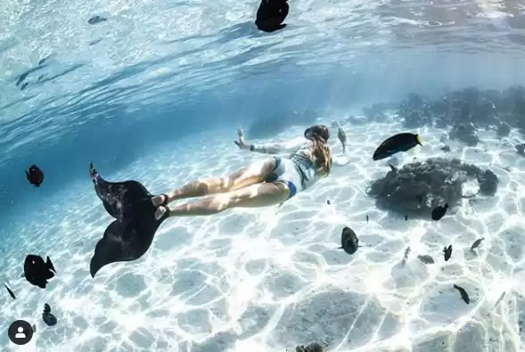 Plastic free mermaid under the sea