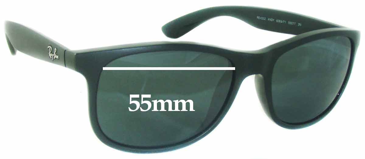 rb4202 replacement lenses